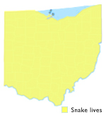 Map of where this snake lives in Ohio